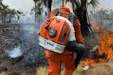 Bombeiros controlam focos de fogo em Bom Jesus da Lapa, Guanambi, Juazeiro e Lençóis