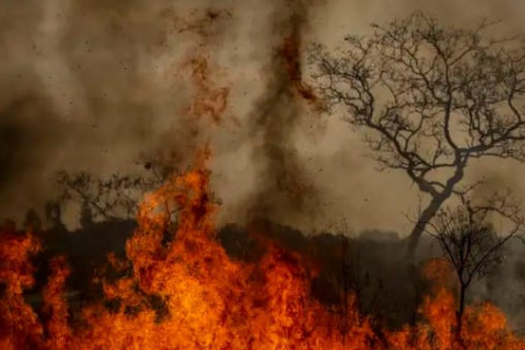 Queimadas aumentaram em até 80 vezes a concentração de poluentes na atmosfera da amazônia