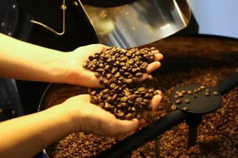 Preço do café bate recorde e deve continuar pressionando inflação em 2025