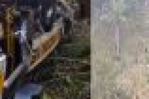 Acidente com ônibus no interior de Alagoas deixa 23 mortos e quase 30 feridos