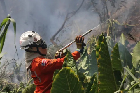 BAHIA: Bombeiros combatem 422 incêndios florestais nos últimos dois meses