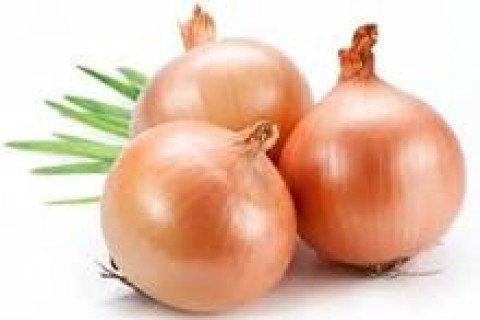 IRECÊ: Preço da cebola cai em região produtora na Bahia